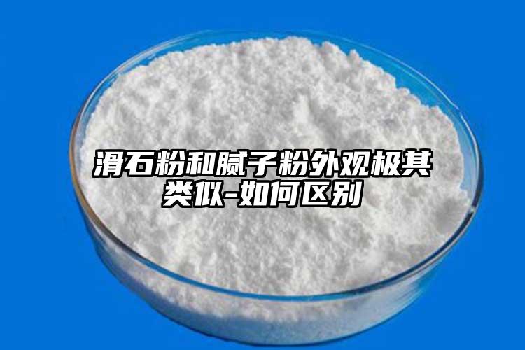 向日葵视频色板在线看官方网站和腻子粉外观极其类似-如何区别